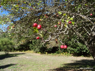 sco di Centorbi-18-10-2020 11